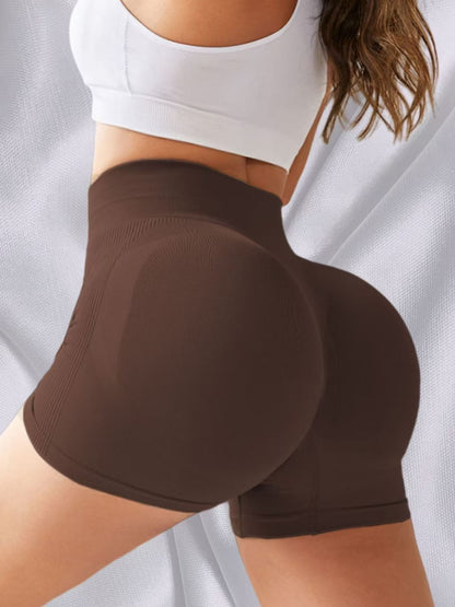 High Waist Tummy Control  Butt-Lifting Seamless Knitted Shorts